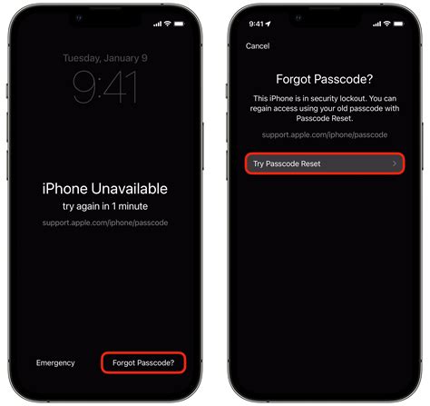 forgotten iphone passcode reset