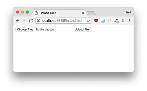 form data file upload javascript