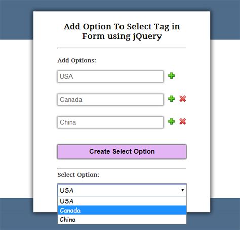 form select html