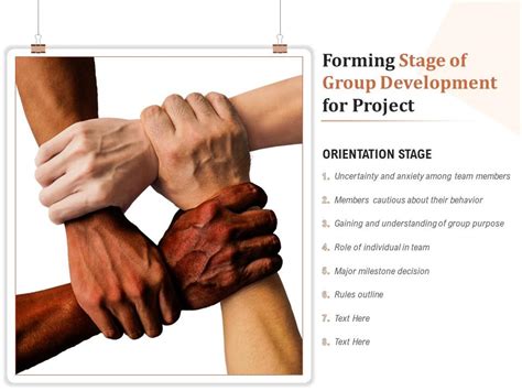 forming stage of group development example