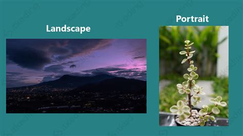 foto portrait dan landscape