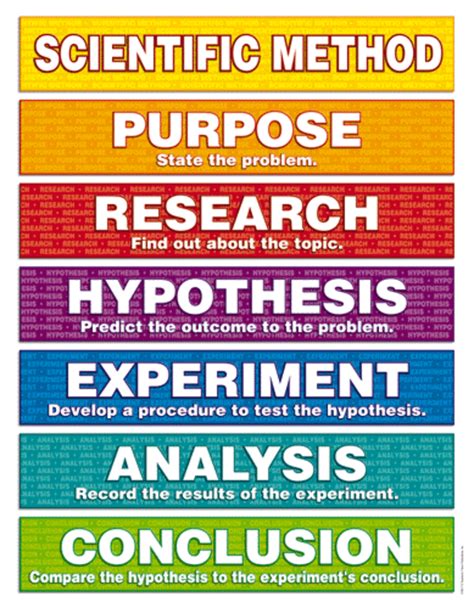 four phases of scientific method in order
