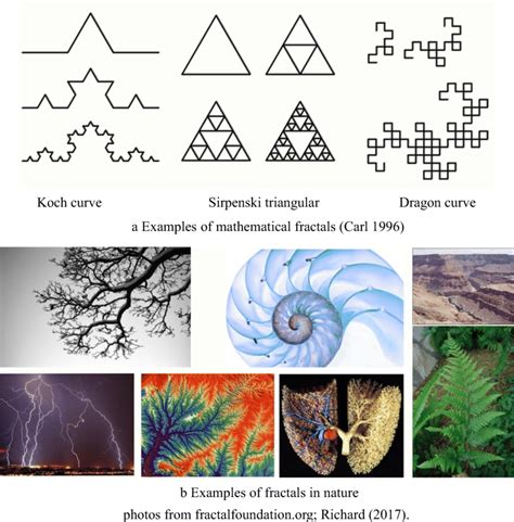 fractal geometry examples in real life
