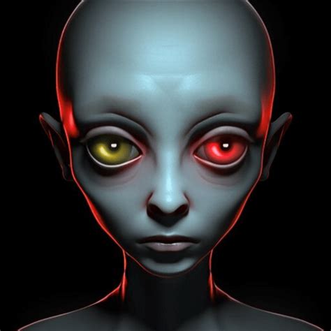 Franz Game Walkthrough