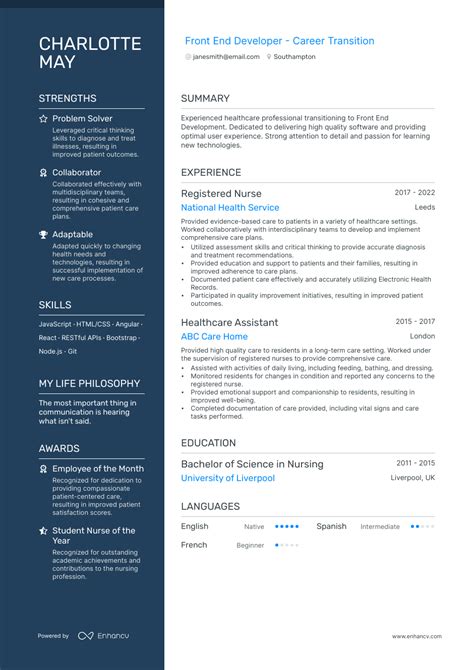 front end developer professional summary