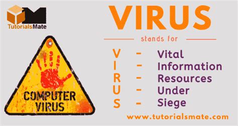 full form of virus in computer class 7