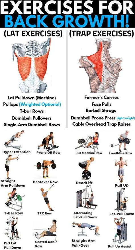 full list of back exercises