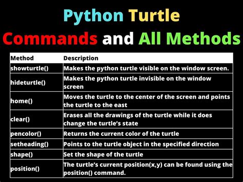 fun things to do with python turtle