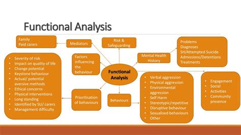 functional analysis examples sociology
