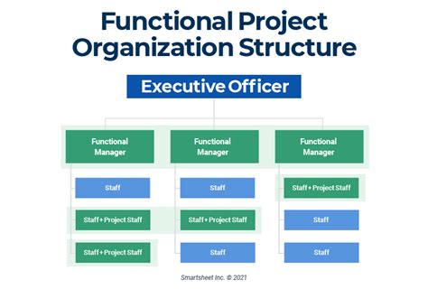 functional organizational structure in project management
