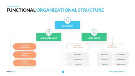 functional organizational structure template