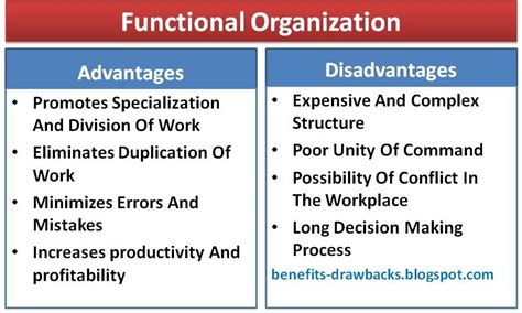 functional structure advantages and disadvantages pdf