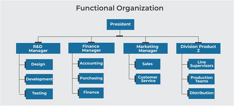 functional structure diagram example