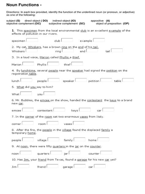 functions of nouns worksheet with answers