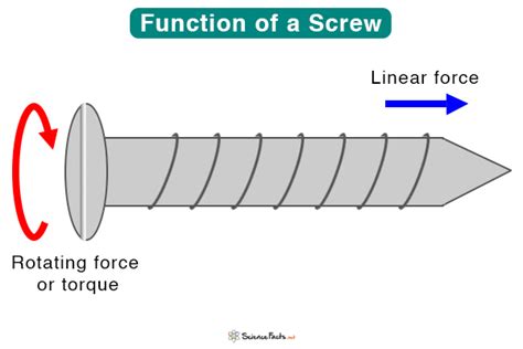functions of screw