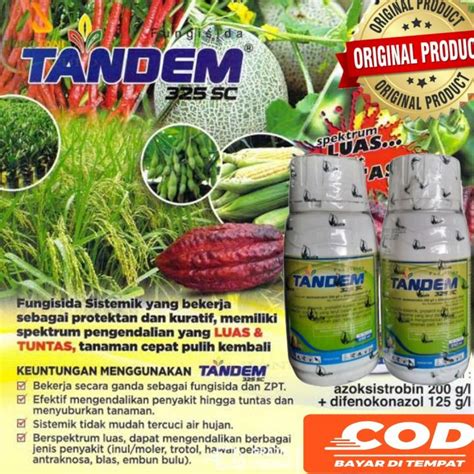 fungisida tanaman