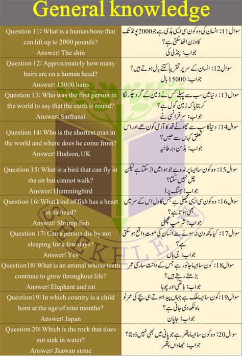 funny quiz questions in urdu with answers