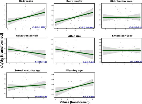 generalized least squares in r