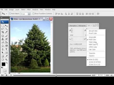 get hex code from image photoshop