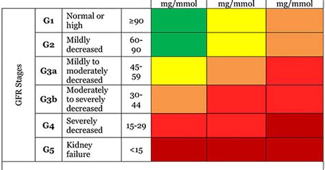 Gfr Stages Chart