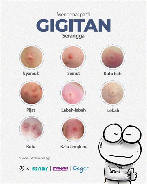 gigitan serangga