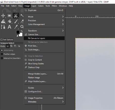 gimp adjust canvas size to image