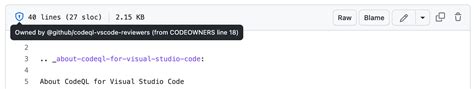 github code owner