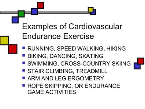 give 3 examples of cardiovascular endurance exercises