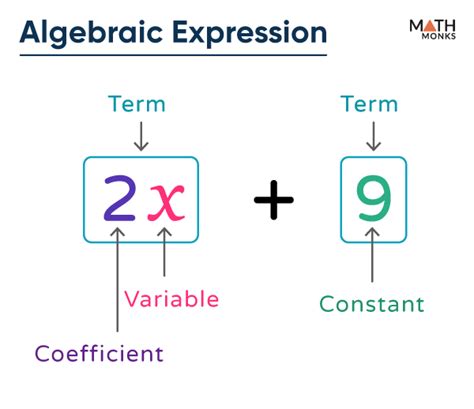 give 5 example of algebraic expression