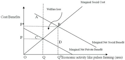 give any two examples of positive externalities