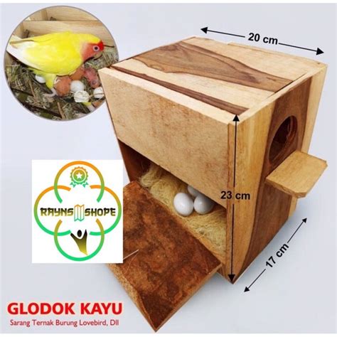 Glodok lovebird