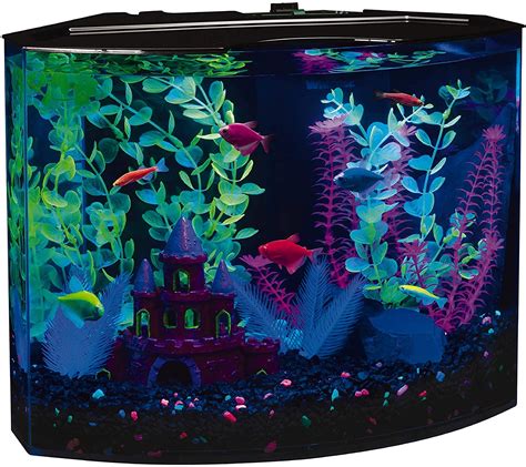 Glow in the dark fish tank mental well-being