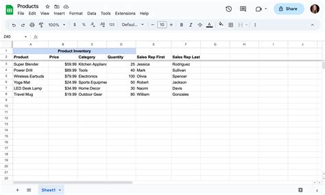 google sheets examples pdf