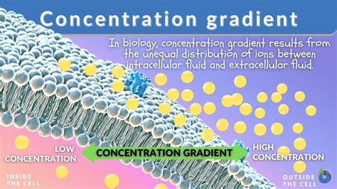 gradient example science