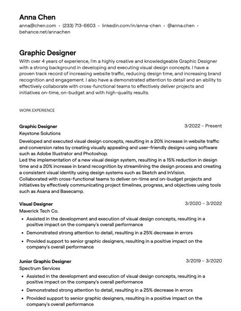 graphic designer summary examples