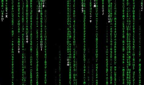 green falling code in matrix sushi