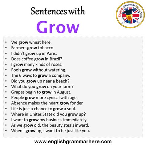 grow in a sentence examples