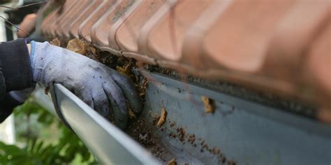 gutter cleaning tips and tricks