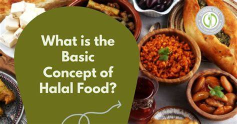 halal food concept