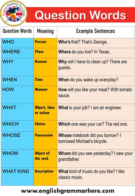 has questions examples sentences