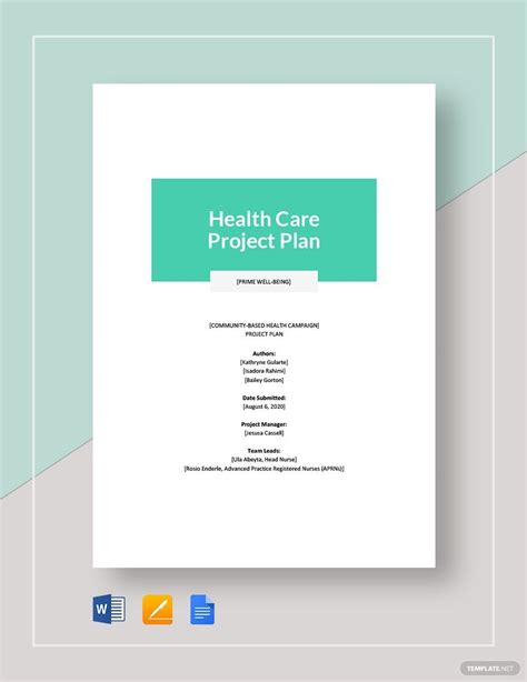 health project plan template