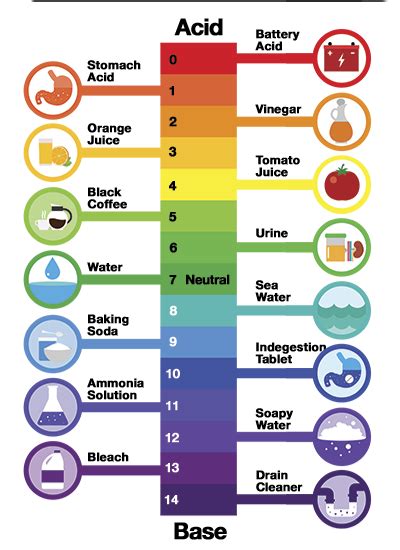 Healthy fish tank with proper pH levels