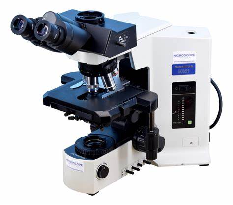 Mikroskop Hematologi