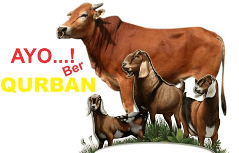 hewan qurban