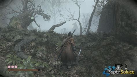 Hidden Forest Sekiro Walkthrough