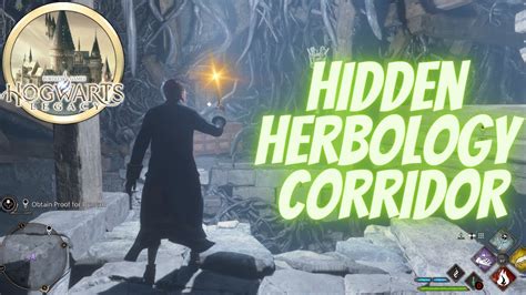 Hidden Herbology Corridor Walkthrough