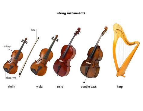 highest string instrument in orchestra