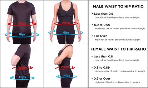 Hip Waist Chart