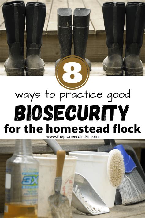Biosecurity measures at home