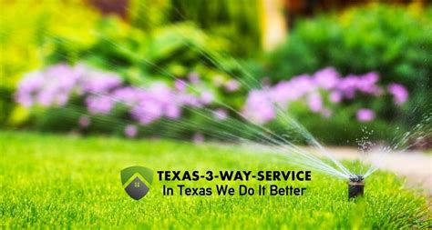 how to water grass in texas